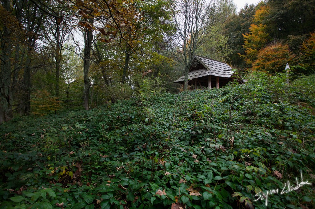 Zdjęcia: Bieszczady, Schronienie, POLSKA Zdjęcia: Bieszczady, Schronienie, POLSKA