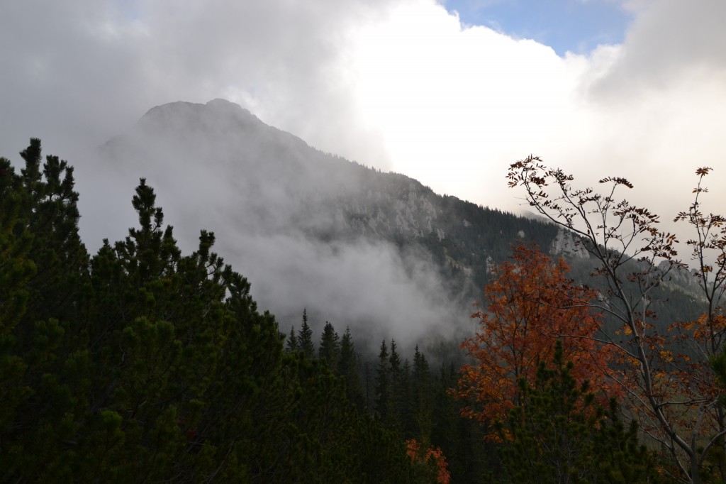Zdjęcia: Iwaniacka Przełęcz, Tatry Zachodnie, Widok na Zdrapiska, POLSKA Zdjęcia: Iwaniacka Przełęcz, Tatry Zachodnie, Widok na Zdrapiska, POLSKA