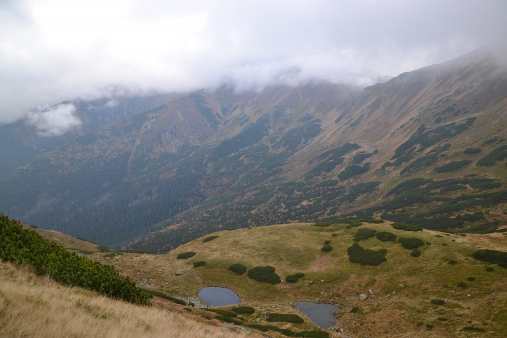 Zdjęcia: Siwa Przełęcz, Tatry Zachodnie, Siwe Stawki, POLSKA Zdjęcia: Siwa Przełęcz, Tatry Zachodnie, Siwe Stawki, POLSKA