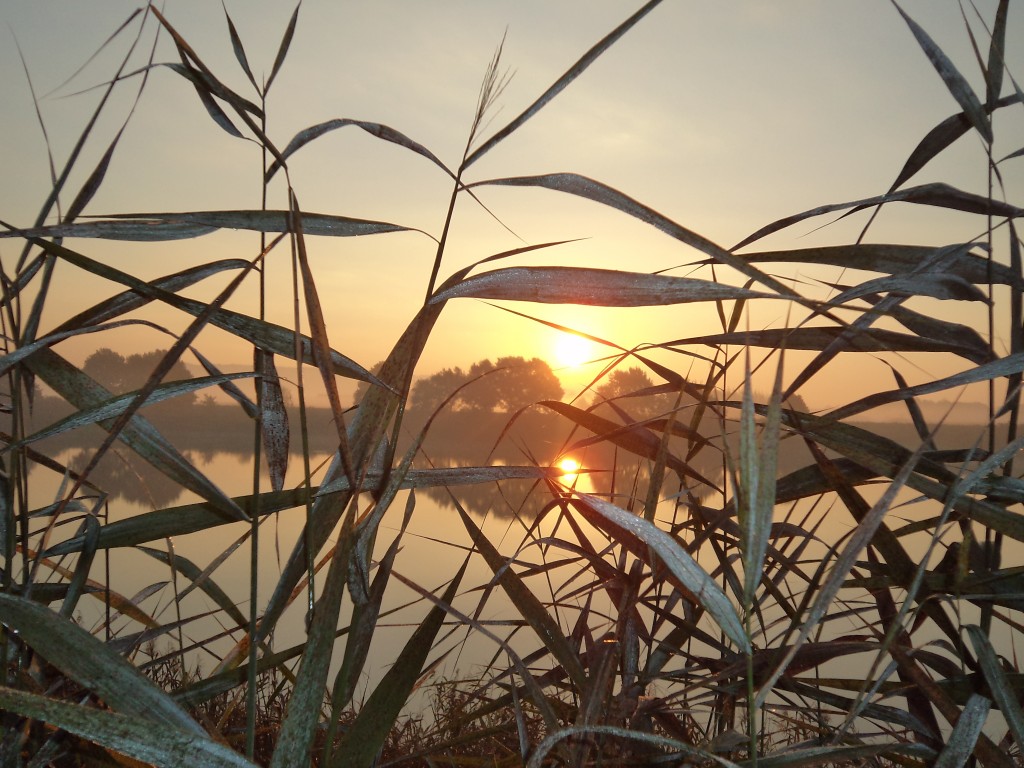 Zdjęcia: stare koryto wisły, spytkowice, Wschód słońca...., POLSKA Zdjęcia: stare koryto wisły, spytkowice, Wschód słońca...., POLSKA