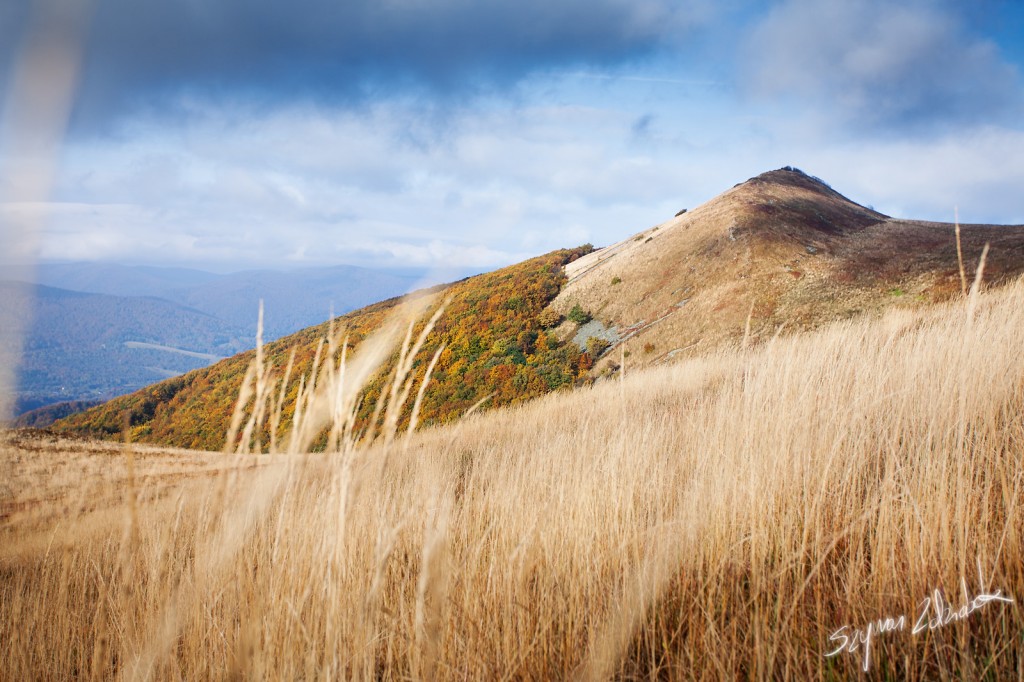 Zdjęcia: Smerek, Bieszczady, Spomiędzy traw, POLSKA Zdjęcia: Smerek, Bieszczady, Spomiędzy traw, POLSKA