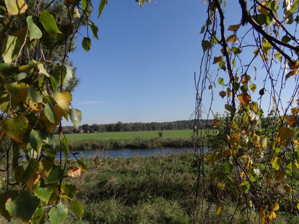 Zdjęcia: Na Gwdą, Wielkopolska, Jesienna odsłona, POLSKA Zdjęcia: Na Gwdą, Wielkopolska, Jesienna odsłona, POLSKA