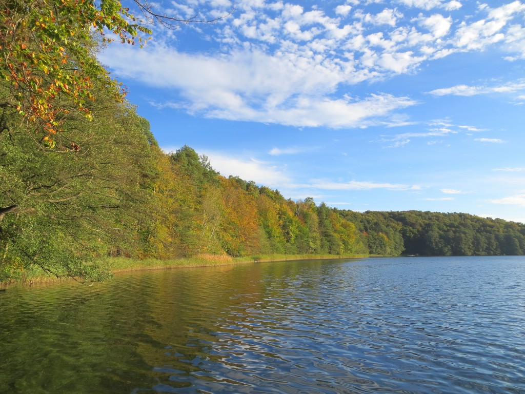Zdjęcia: Łagów, Jezioro Trześniowskie, Lubuskie, październikowa cisza..., POLSKA Zdjęcia: Łagów, Jezioro Trześniowskie, Lubuskie, październikowa cisza..., POLSKA