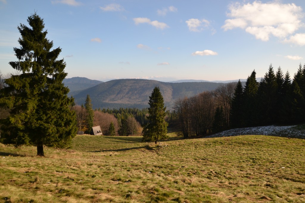 Zdjęcia: Hala Rycerzowa, Beskid Żywiecki, Na Hali Rycerzowej, POLSKA Zdjęcia: Hala Rycerzowa, Beskid Żywiecki, Na Hali Rycerzowej, POLSKA