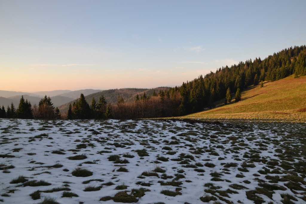 Zdjęcia: Hala Rycerzowa, Beskid Żywiecki, Na Hali Rycerzowej II, POLSKA Zdjęcia: Hala Rycerzowa, Beskid Żywiecki, Na Hali Rycerzowej II, POLSKA