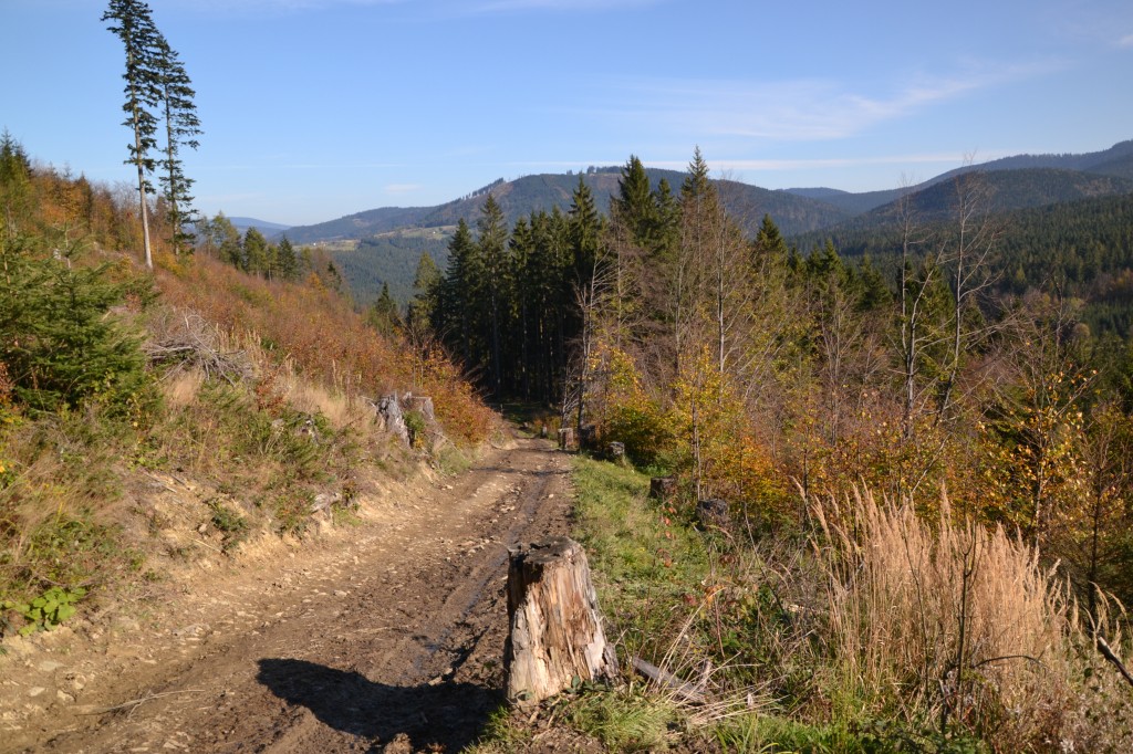 Zdjęcia: Hutyrowa, Beskid Żywiecki, Na szlaku II, POLSKA Zdjęcia: Hutyrowa, Beskid Żywiecki, Na szlaku II, POLSKA