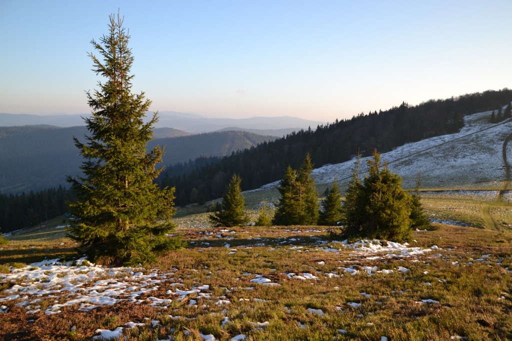 Zdjęcia: Hala Rycerzowa, Beskid Żywiecki, Na Hali Rycerzowej V, POLSKA Zdjęcia: Hala Rycerzowa, Beskid Żywiecki, Na Hali Rycerzowej V, POLSKA