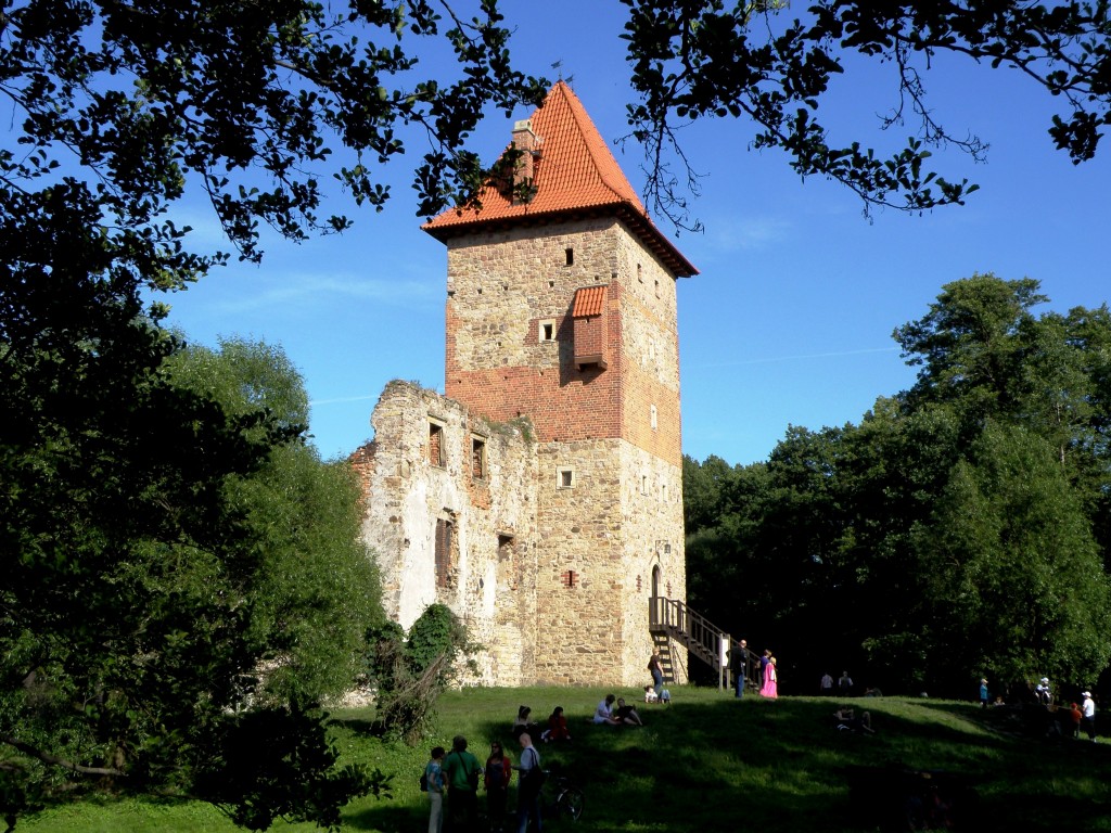 Zdjęcia: Chudów, -Śląskie, Ruiny zamku w Chudowie, POLSKA Zdjęcia: Chudów, -Śląskie, Ruiny zamku w Chudowie, POLSKA