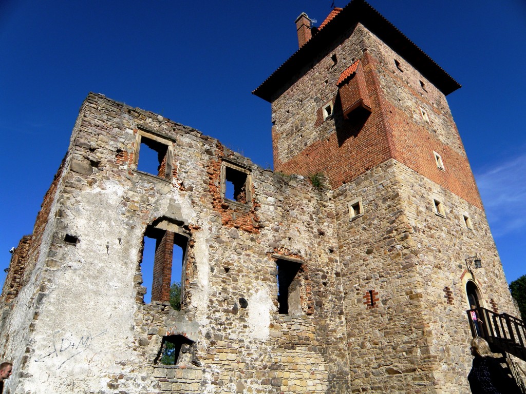 Zdjęcia: Chudów, -Śląskie, Ruiny zamku w Chudowie, POLSKA Zdjęcia: Chudów, -Śląskie, Ruiny zamku w Chudowie, POLSKA