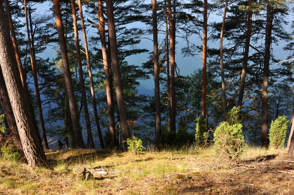 Zdjęcia: szlak Brdy, jezioro Płęsno, Bory Tucholskie, Jezioro Płęsno, POLSKA Zdjęcia: szlak Brdy, jezioro Płęsno, Bory Tucholskie, Jezioro Płęsno, POLSKA