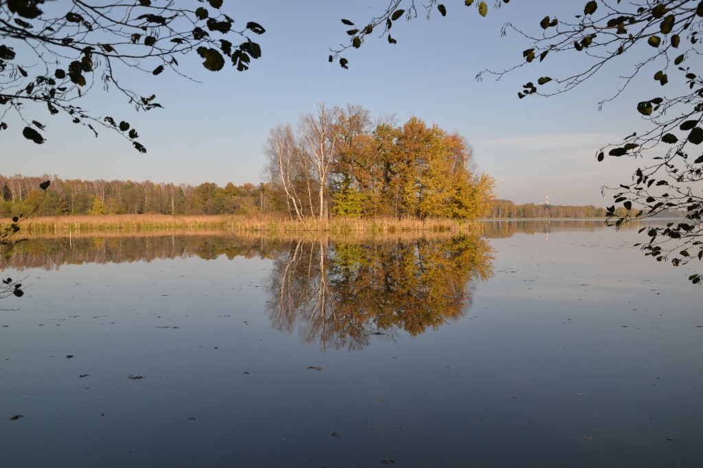 Zdjęcia: Tychy - Paprocany, Górny Śląsk, Jest wyspa, POLSKA Zdjęcia: Tychy - Paprocany, Górny Śląsk, Jest wyspa, POLSKA