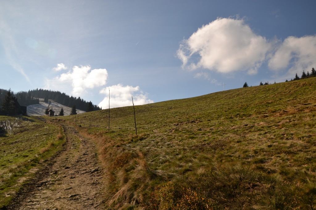 Zdjęcia: Hala Rycerzowa, Beskid Żywiecki, Na hali, POLSKA Zdjęcia: Hala Rycerzowa, Beskid Żywiecki, Na hali, POLSKA