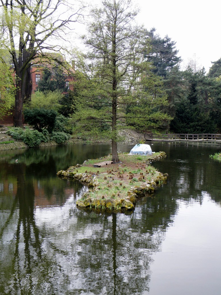 Zdjęcia: Wrocław, Dolnośląskie, Ogród Botaniczny 4, POLSKA Zdjęcia: Wrocław, Dolnośląskie, Ogród Botaniczny 4, POLSKA