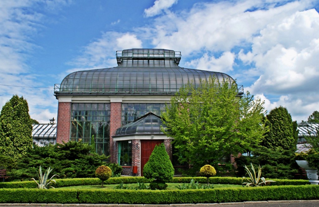 Zdjęcia: Wałbrzych, Dolnośląskie, Palmiarnia, POLSKA Zdjęcia: Wałbrzych, Dolnośląskie, Palmiarnia, POLSKA