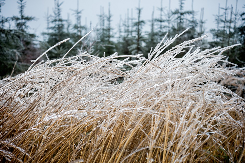 Zdjęcia: Czupel, Beskid Mały, Epoka lodowcowa, POLSKA Zdjęcia: Czupel, Beskid Mały, Epoka lodowcowa, POLSKA
