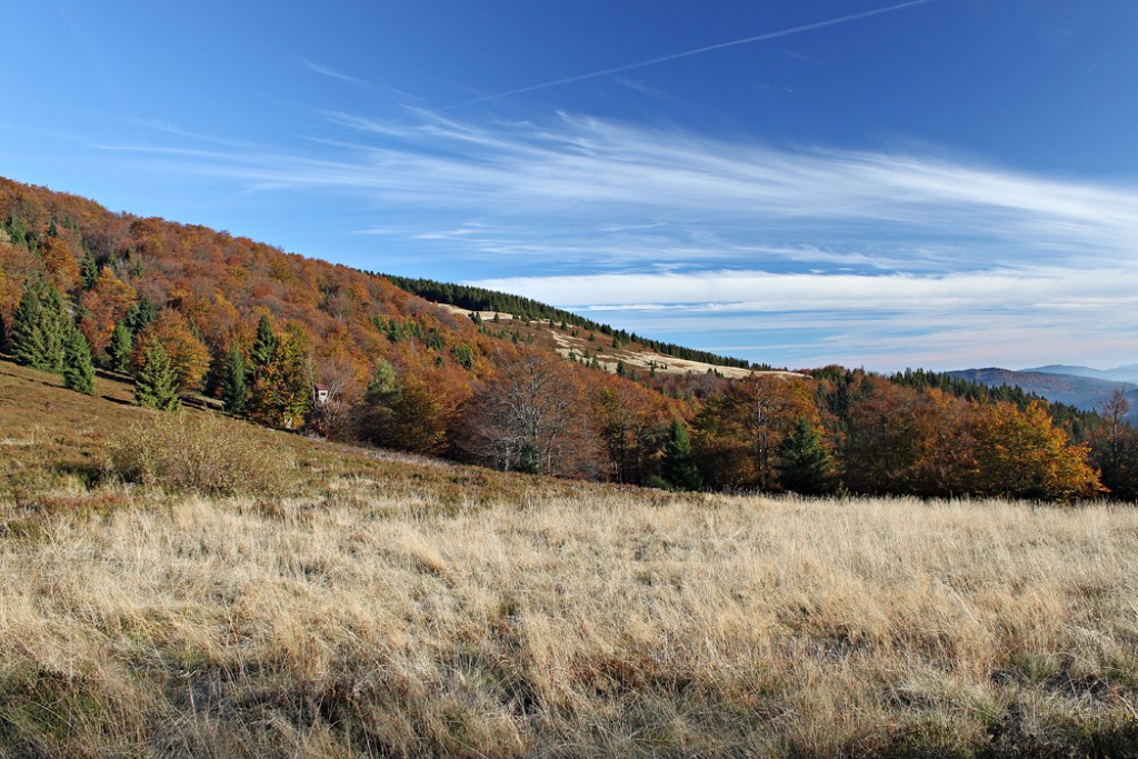 Zdjęcia: Okolice Wielkiej Raczy, Beskid Żywiecki, Jesień w Beskidach, POLSKA Zdjęcia: Okolice Wielkiej Raczy, Beskid Żywiecki, Jesień w Beskidach, POLSKA