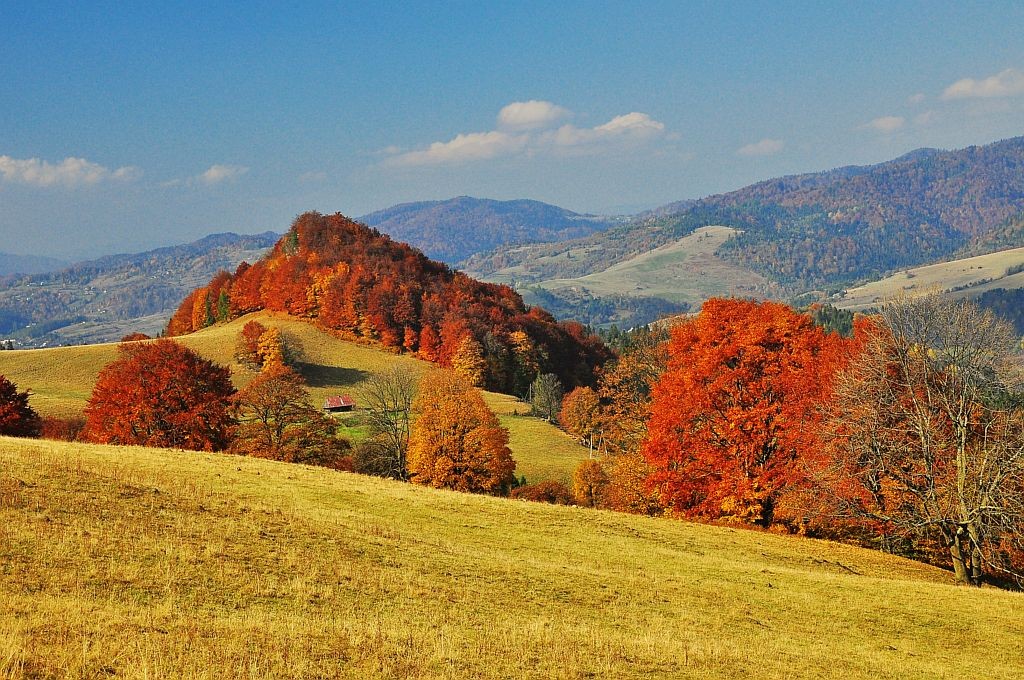Zdjęcia: niedaleko Szczawnicy, Pieniny, Kolorowo, POLSKA Zdjęcia: niedaleko Szczawnicy, Pieniny, Kolorowo, POLSKA