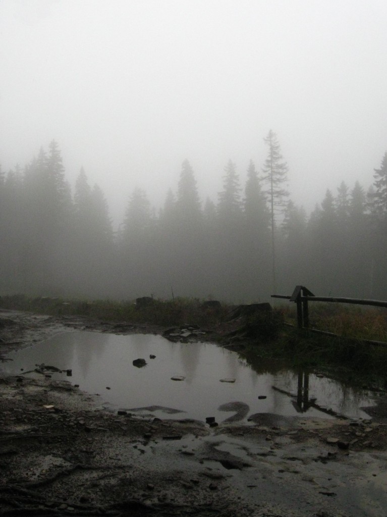 Zdjęcia: Suchy Groń, Beskid Żywiecki, Na szlaku, POLSKA Zdjęcia: Suchy Groń, Beskid Żywiecki, Na szlaku, POLSKA