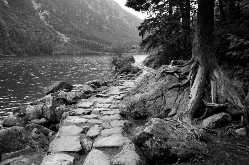 Zdjęcia: Tatry, Tatry, górki;), POLSKA Zdjęcia: Tatry, Tatry, górki;), POLSKA