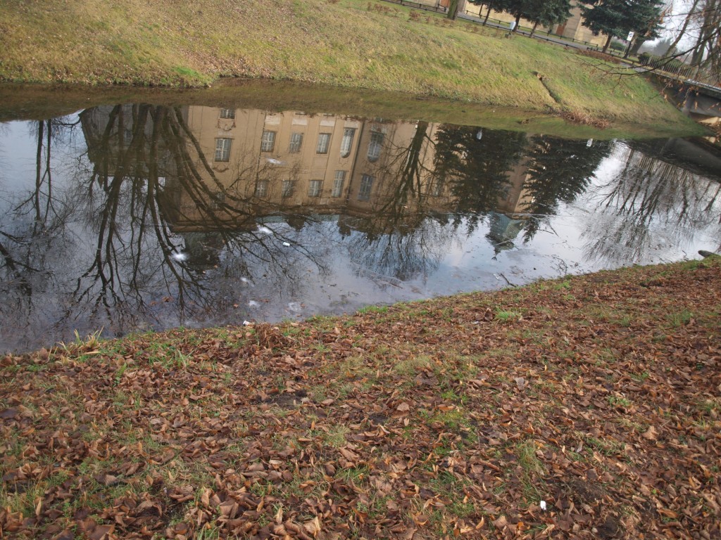 Zdjęcia: RYDZYNA, WIELKOPOLSKA, PIĘKNO WIELKOPOLSKI, POLSKA Zdjęcia: RYDZYNA, WIELKOPOLSKA, PIĘKNO WIELKOPOLSKI, POLSKA
