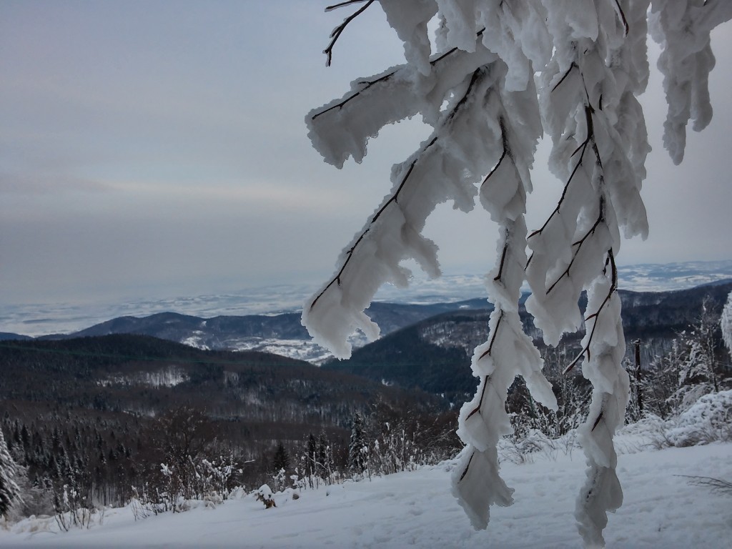 Zdjęcia: Beskid mały, małopolska, widok z Gronia, POLSKA Zdjęcia: Beskid mały, małopolska, widok z Gronia, POLSKA