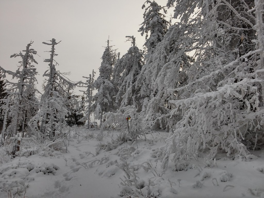 Zdjęcia: Beskid mały, małopolska, LESKOWIEC., POLSKA Zdjęcia: Beskid mały, małopolska, LESKOWIEC., POLSKA