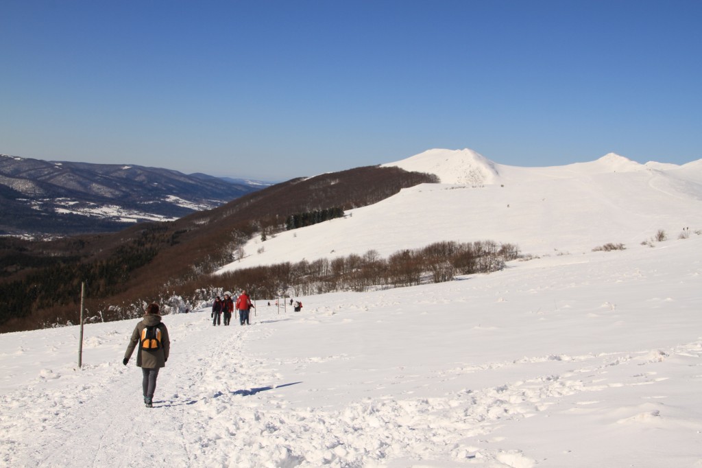 Zdjęcia: POŁONINA  WETLINSKA, BIESZCZADY, POLONINA WETLINSKA, POLSKA Zdjęcia: POŁONINA  WETLINSKA, BIESZCZADY, POLONINA WETLINSKA, POLSKA