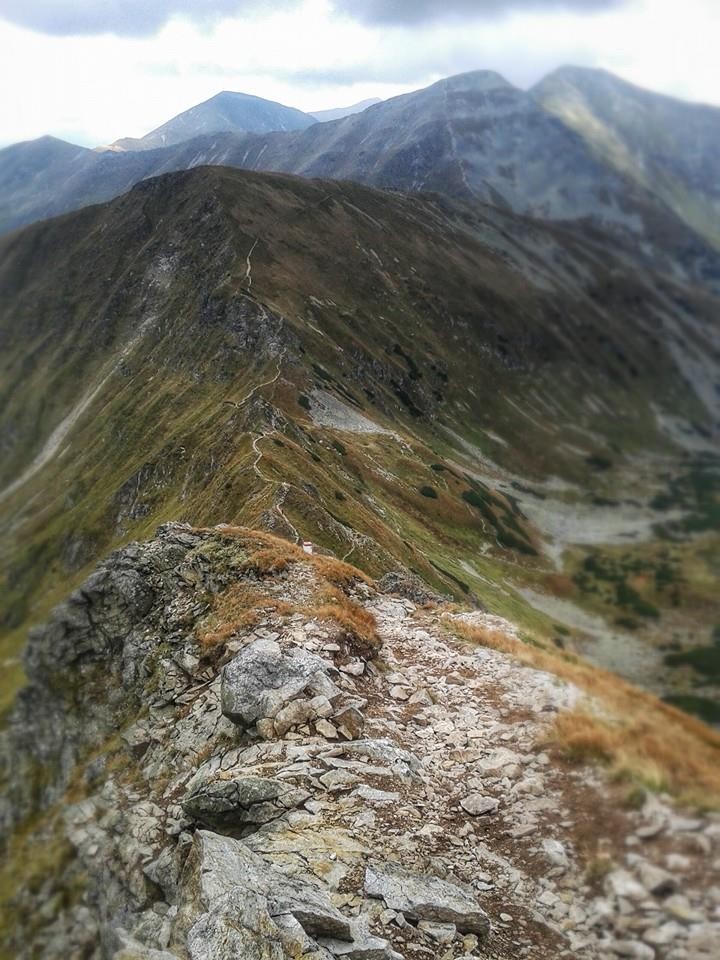 Zdjęcia: Zakopane, Czerwone Wierchy, Łopata , POLSKA Zdjęcia: Zakopane, Czerwone Wierchy, Łopata , POLSKA