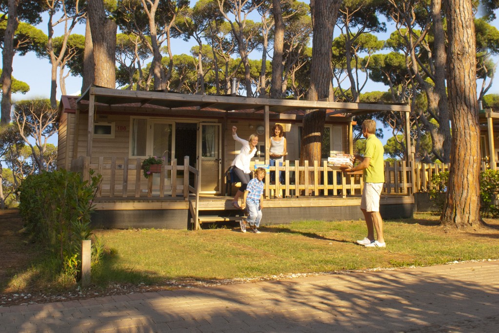 Zdjęcia: ---, ---, Wakacje na kempingu art.sponsorowany, POLSKA Zdjęcia: ---, ---, Wakacje na kempingu art.sponsorowany, POLSKA