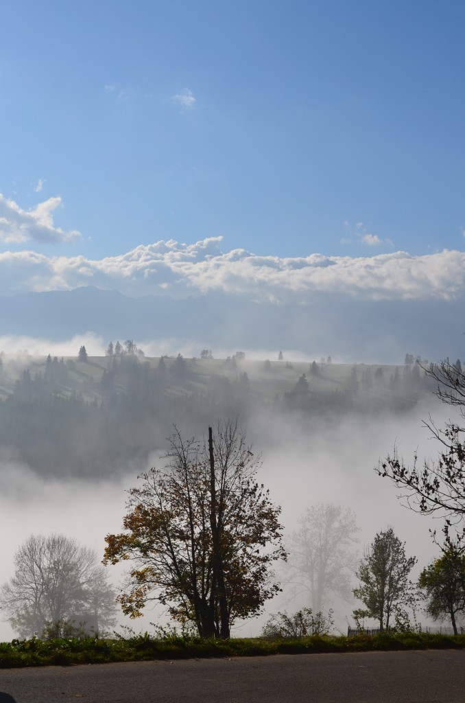 Zdjęcia: Bustryk, Tatry, Poranne mgły, POLSKA Zdjęcia: Bustryk, Tatry, Poranne mgły, POLSKA
