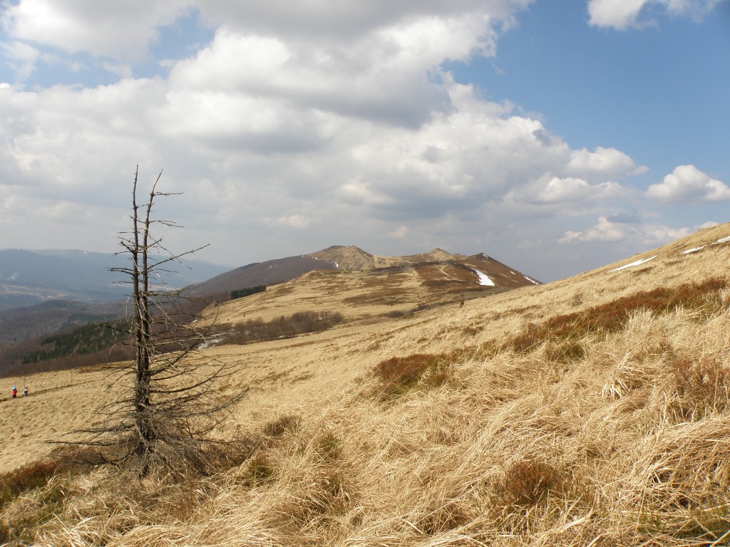 Zdjęcia: POŁONINA WETLINSKA, BIESZCZADY, POLONINA WETLINSKA, POLSKA Zdjęcia: POŁONINA WETLINSKA, BIESZCZADY, POLONINA WETLINSKA, POLSKA