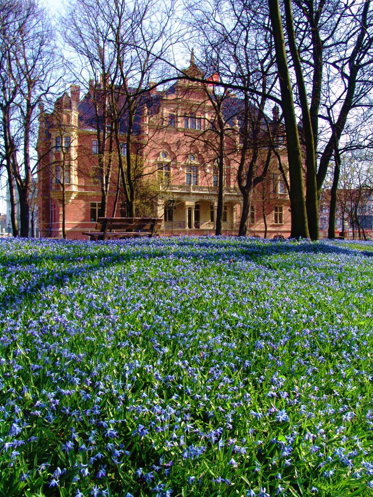 Zdjęcia: Gdańsk, Pomorze, Skwer Czesława Niemena, POLSKA Zdjęcia: Gdańsk, Pomorze, Skwer Czesława Niemena, POLSKA