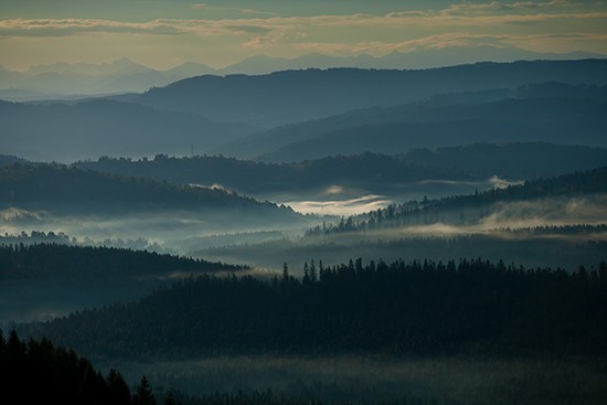 Zdjęcia: Koniaków, Śląsk, Mgły, POLSKA Zdjęcia: Koniaków, Śląsk, Mgły, POLSKA