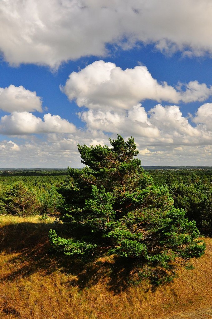 Zdjęcia: Słowinski Park Narodowy, Pomorze Zachodnie, Park, POLSKA Zdjęcia: Słowinski Park Narodowy, Pomorze Zachodnie, Park, POLSKA