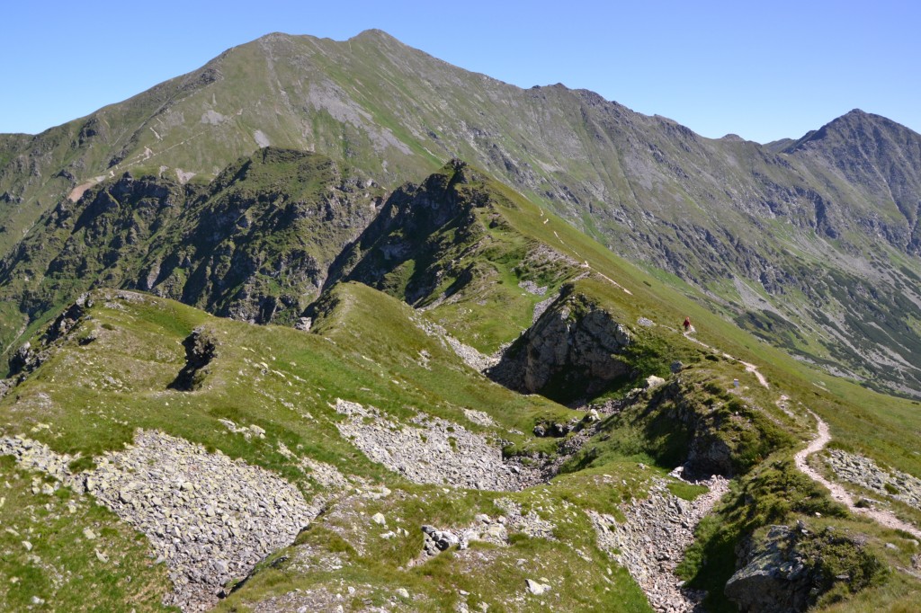 Zdjęcia: Siwy Zwornik, Tatry Zachodnie, Liliowe Turnie, POLSKA Zdjęcia: Siwy Zwornik, Tatry Zachodnie, Liliowe Turnie, POLSKA