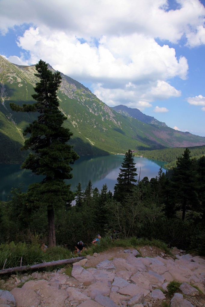 Zdjęcia: Morskie Oko, Tatry, Limba, POLSKA Zdjęcia: Morskie Oko, Tatry, Limba, POLSKA