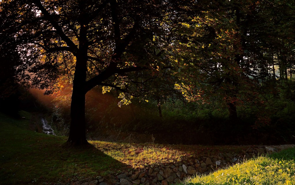 Zdjęcia: Wysowa, Beskidu Niskiego,  Kiedy budzi się dzień, POLSKA Zdjęcia: Wysowa, Beskidu Niskiego,  Kiedy budzi się dzień, POLSKA