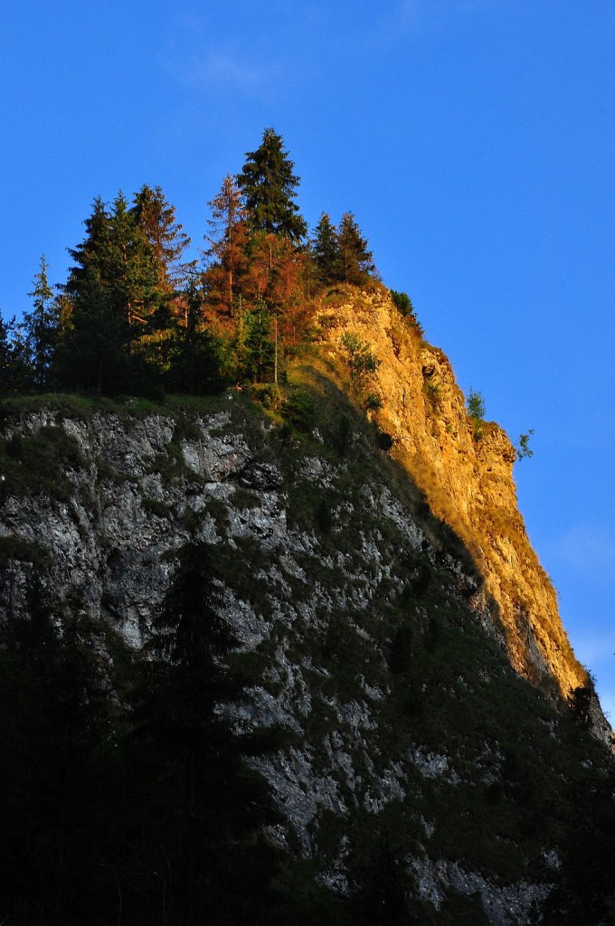 Zdjęcia: Wąwóz Homole, Pieniny, Wąwóz, POLSKA Zdjęcia: Wąwóz Homole, Pieniny, Wąwóz, POLSKA