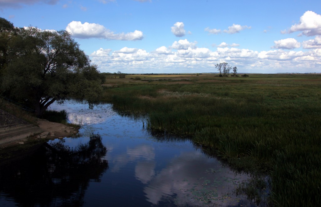 Zdjęcia: Biebrzański Park Narodowy, Goniądz, Rozlewiska Biebrzy, POLSKA Zdjęcia: Biebrzański Park Narodowy, Goniądz, Rozlewiska Biebrzy, POLSKA