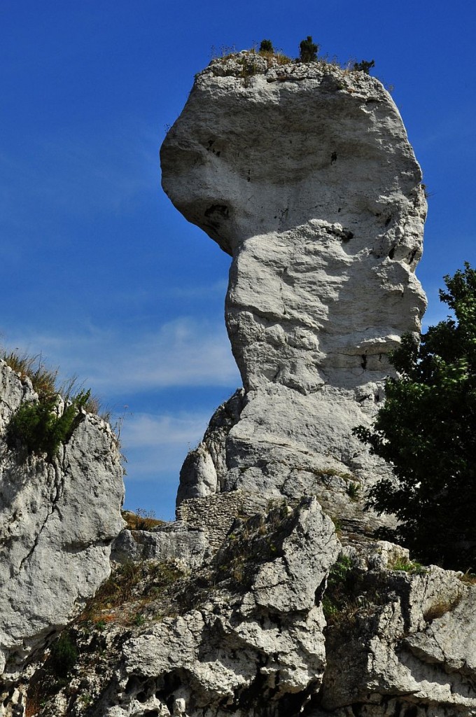 Zdjęcia: Ogrodzieniec, Jura KCz, Skała, POLSKA Zdjęcia: Ogrodzieniec, Jura KCz, Skała, POLSKA