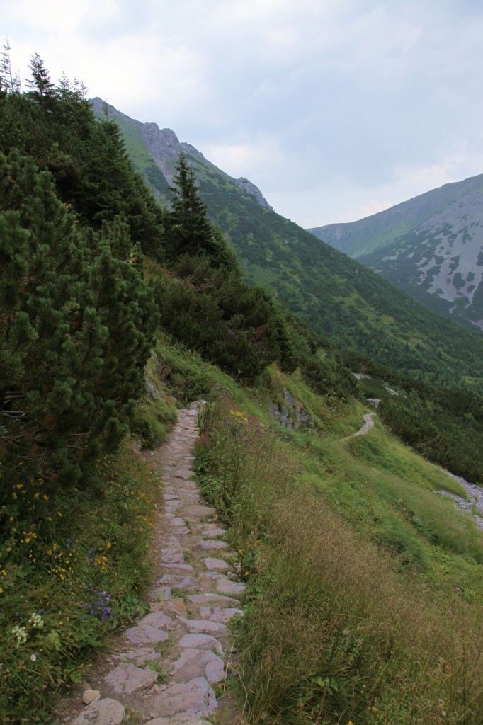Zdjęcia: Czerwone Wierchy, Tatry, Tatrzańskie ścieżki, POLSKA Zdjęcia: Czerwone Wierchy, Tatry, Tatrzańskie ścieżki, POLSKA