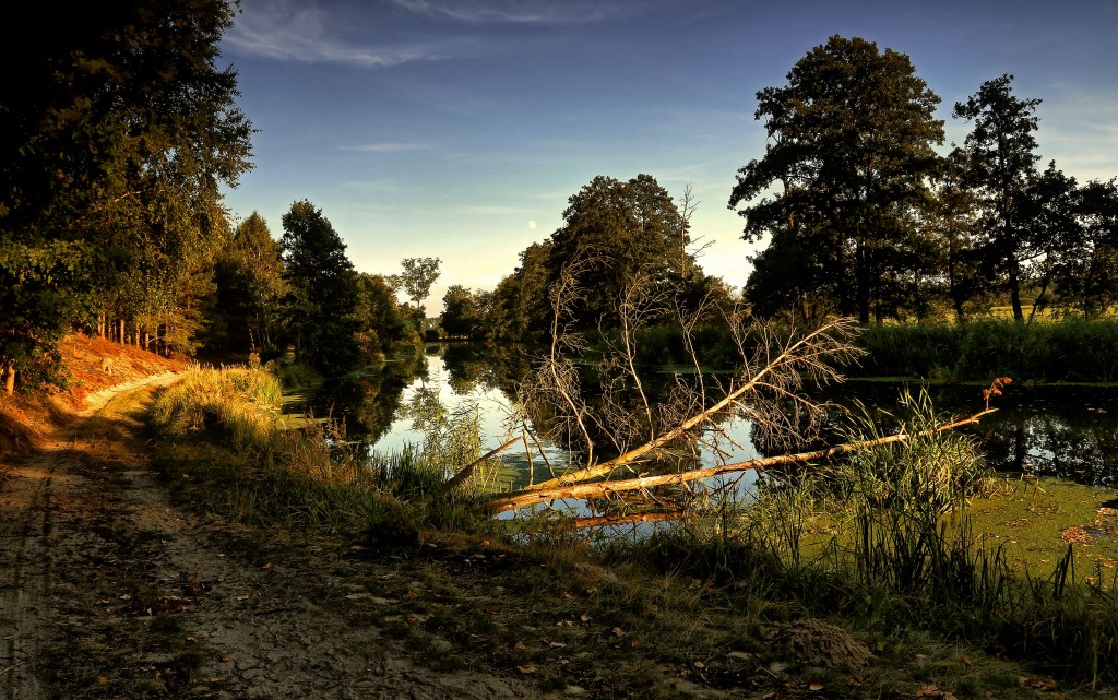 Zdjęcia: Dolina Noteci, pow-żniński, Gdy słońce zachodzi, POLSKA Zdjęcia: Dolina Noteci, pow-żniński, Gdy słońce zachodzi, POLSKA