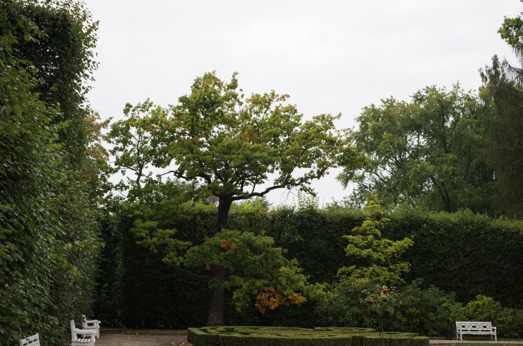 Zdjęcia: Nieborów, woj. łódzkie, W Nieborowie, POLSKA Zdjęcia: Nieborów, woj. łódzkie, W Nieborowie, POLSKA