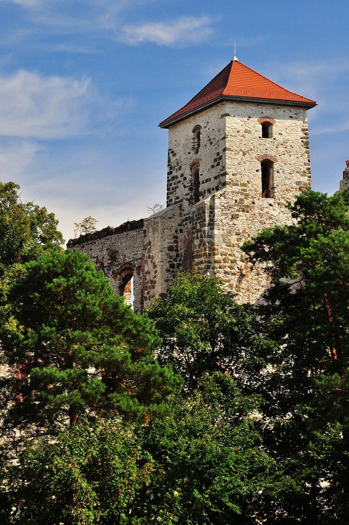 Zdjęcia: Rudno, Małopolska, Zamek Tenczyn, POLSKA Zdjęcia: Rudno, Małopolska, Zamek Tenczyn, POLSKA