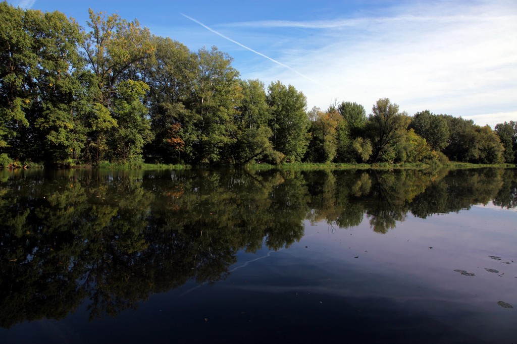 Zdjęcia: Wilanów, Warszawa, Jezioro Wilanowskie, POLSKA Zdjęcia: Wilanów, Warszawa, Jezioro Wilanowskie, POLSKA