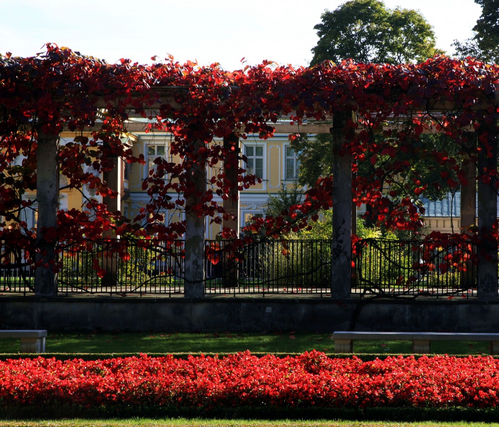 Zdjęcia: Wilanów, Warszawa, Barwy jesieni, POLSKA Zdjęcia: Wilanów, Warszawa, Barwy jesieni, POLSKA