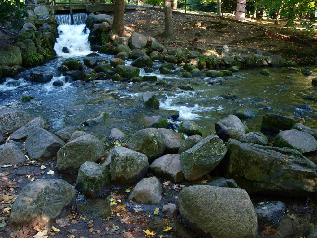 Zdjęcia: Gdańsk, Trójmiasto, gdański ogród botaniczny, POLSKA Zdjęcia: Gdańsk, Trójmiasto, gdański ogród botaniczny, POLSKA