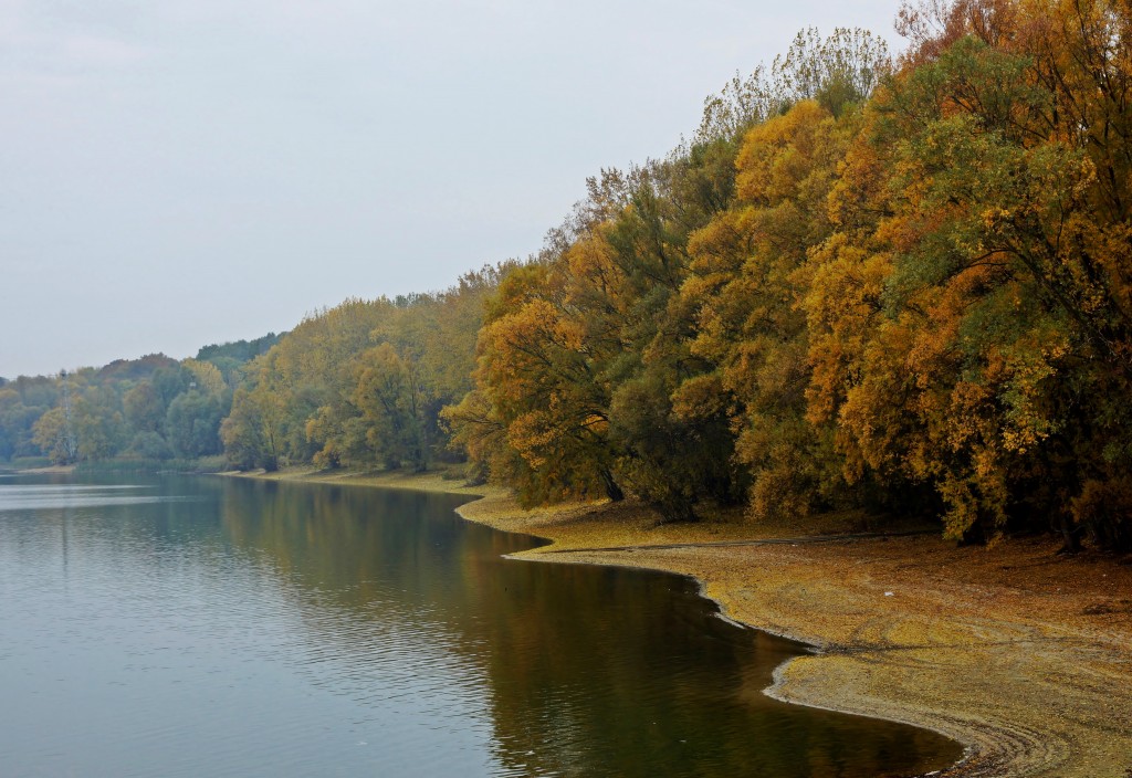 Zdjęcia: Pakość, Kuj-pom, Jesienny widok, POLSKA Zdjęcia: Pakość, Kuj-pom, Jesienny widok, POLSKA