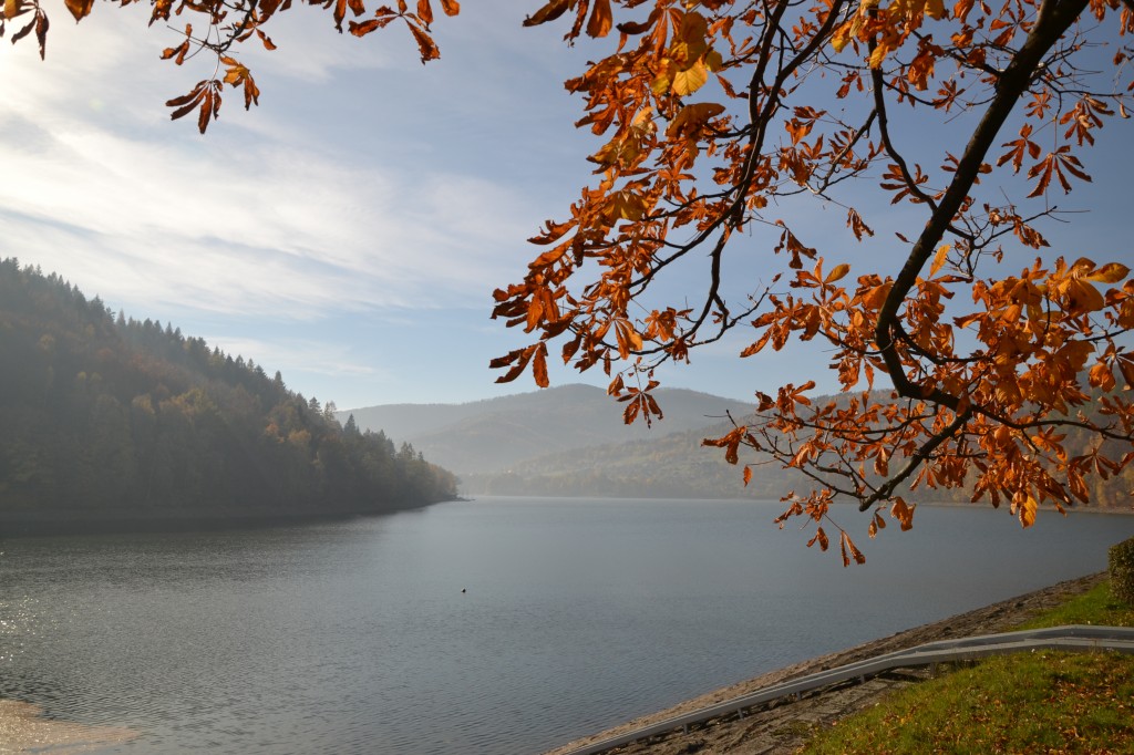 Zdjęcia: Jezioro Międzybrodzkie, Beskid Mały, Jesień I, POLSKA Zdjęcia: Jezioro Międzybrodzkie, Beskid Mały, Jesień I, POLSKA