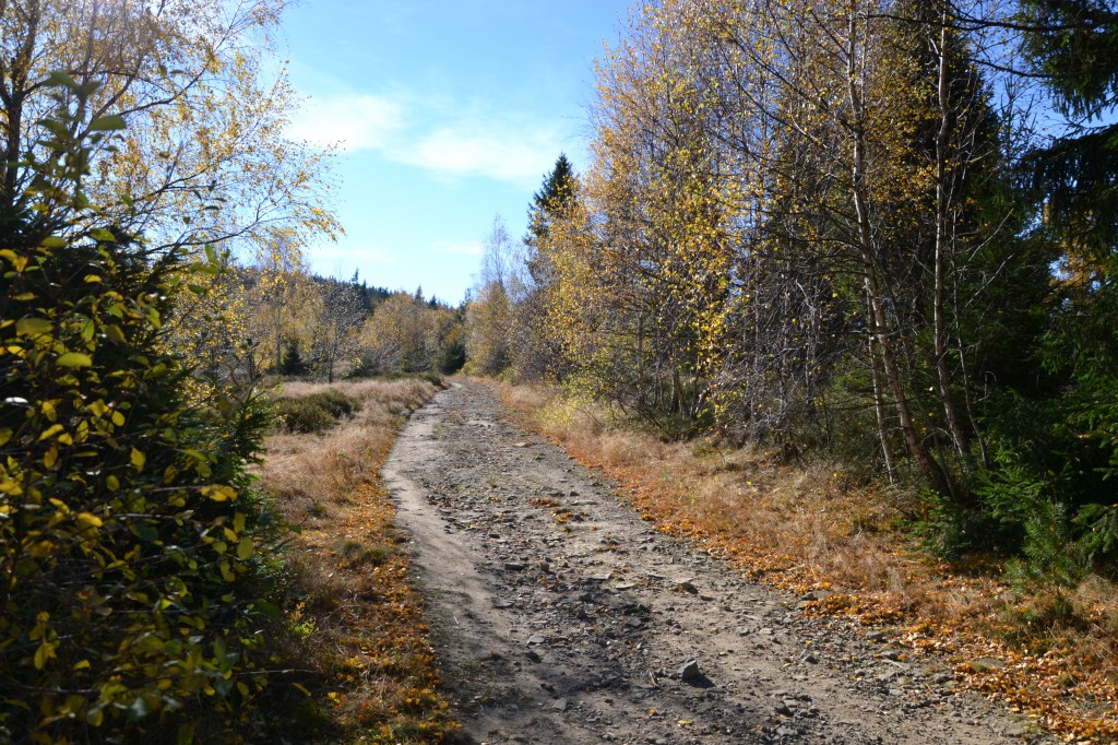 Zdjęcia: Magurka, Beskid Mały, Jesień II, POLSKA Zdjęcia: Magurka, Beskid Mały, Jesień II, POLSKA